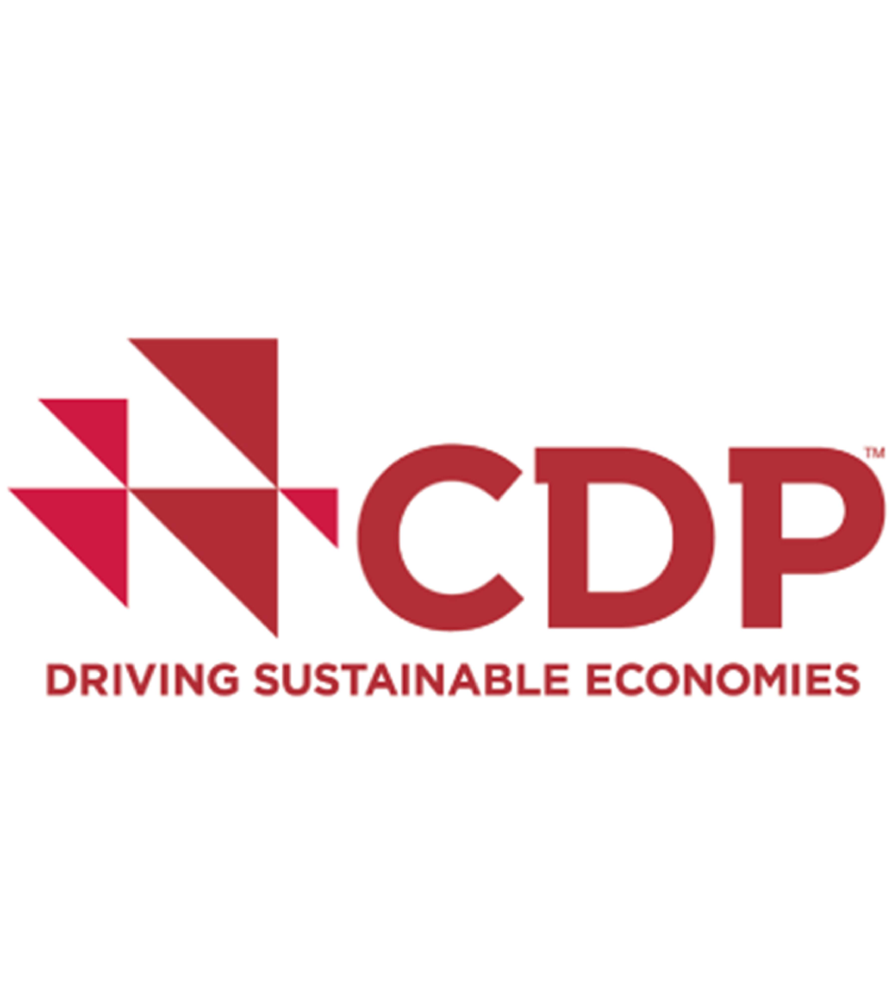 CDP logo