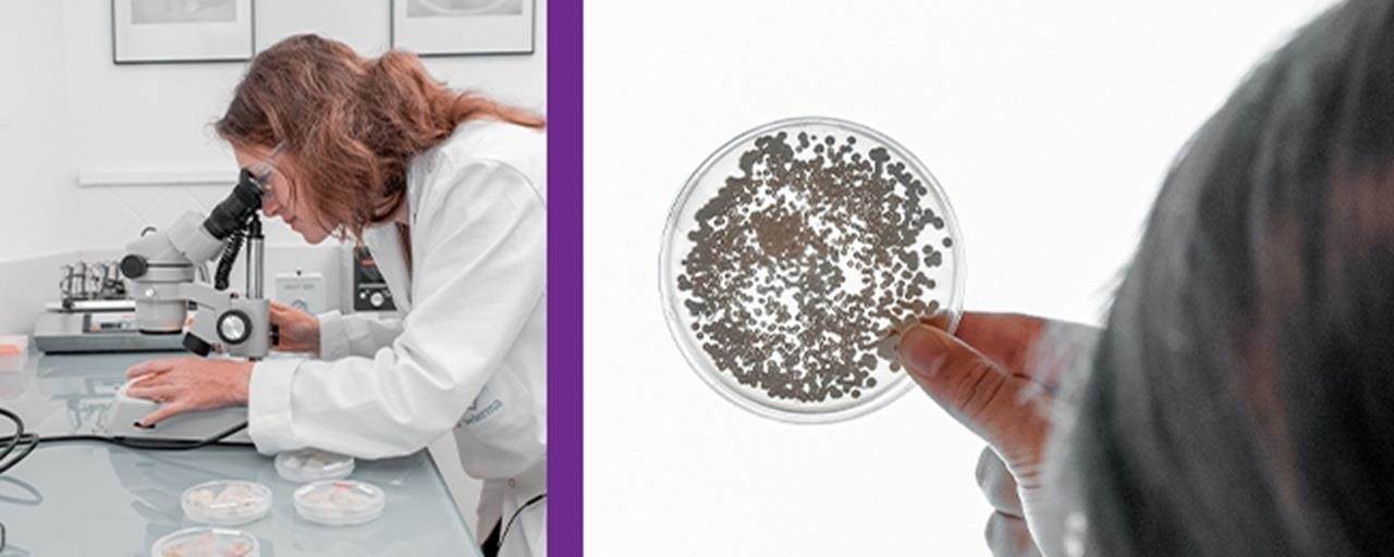 Biotechnology banner