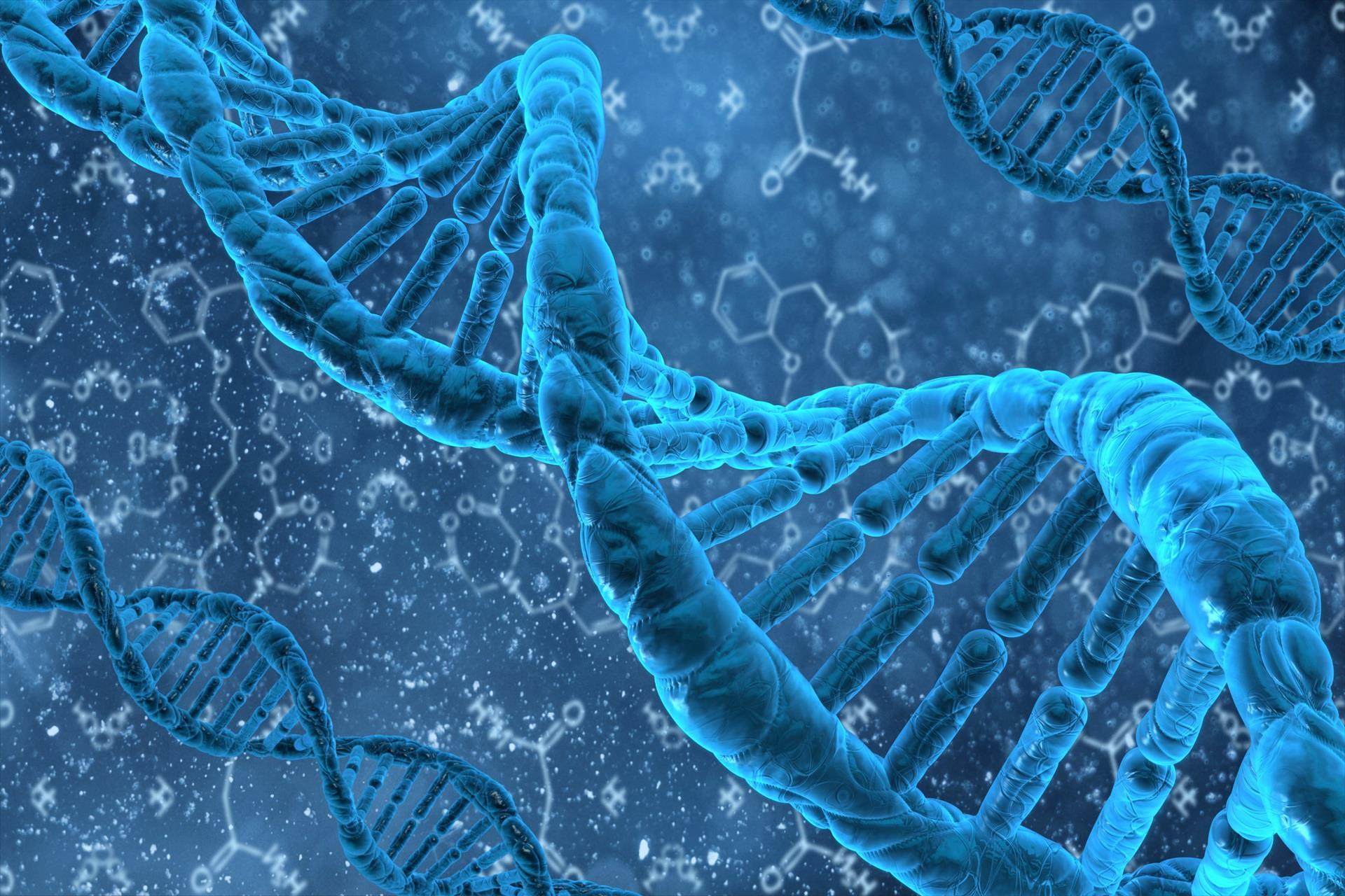 Nucleic acid