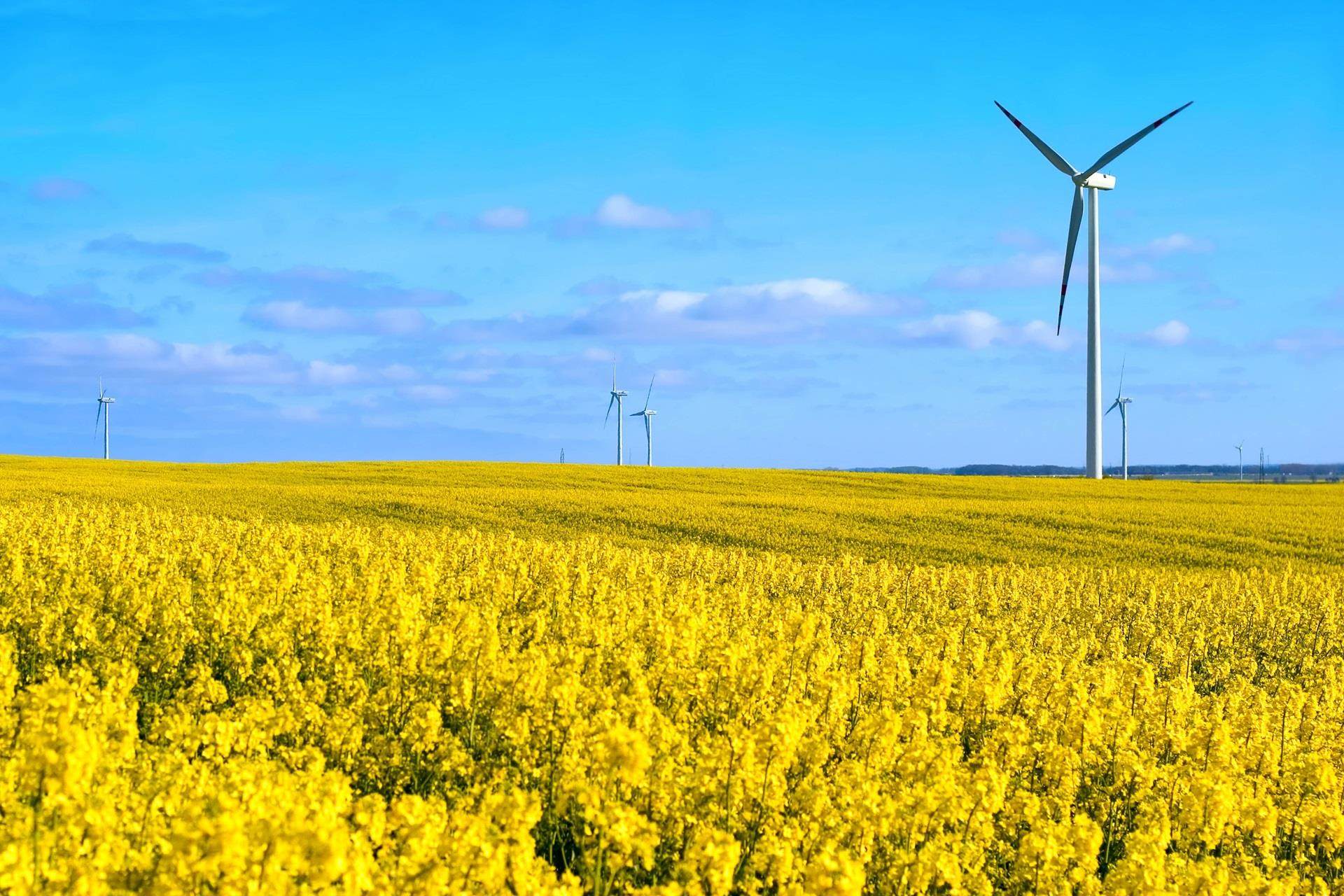 sustainability