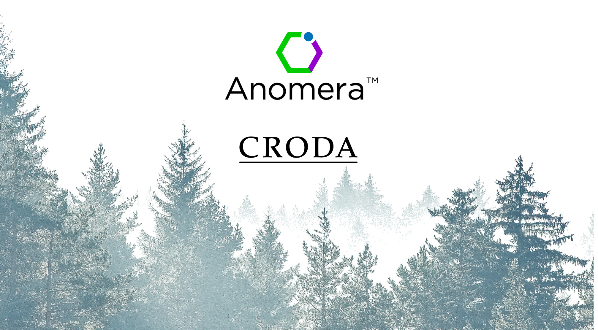 Smart Partnership with Anomera
