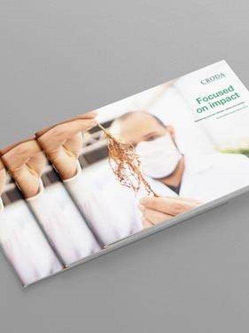 Sustainability Impact Report