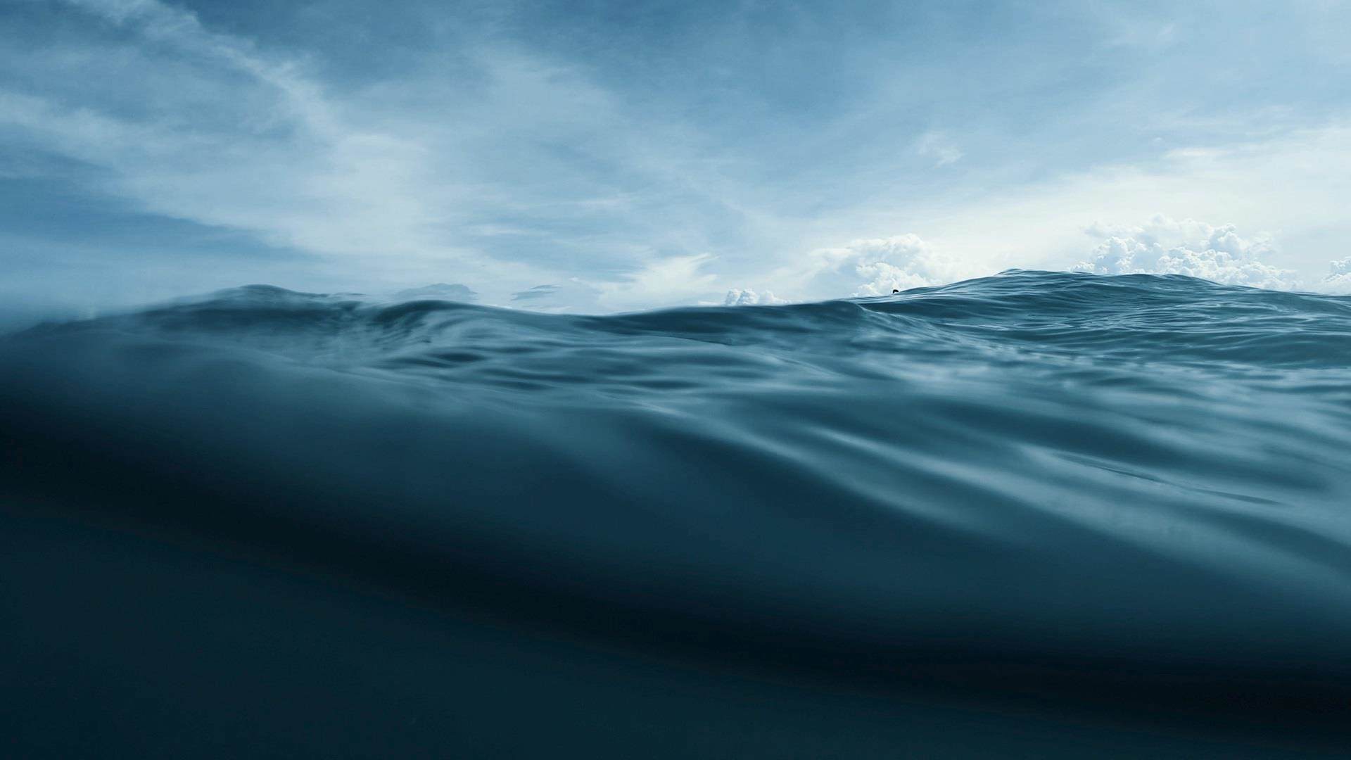 shutterstock 1753109864