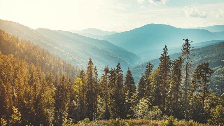 shutterstock 1042958161