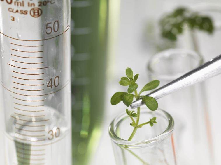 News Catergory Sustainability