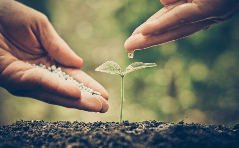 Site layout image filler